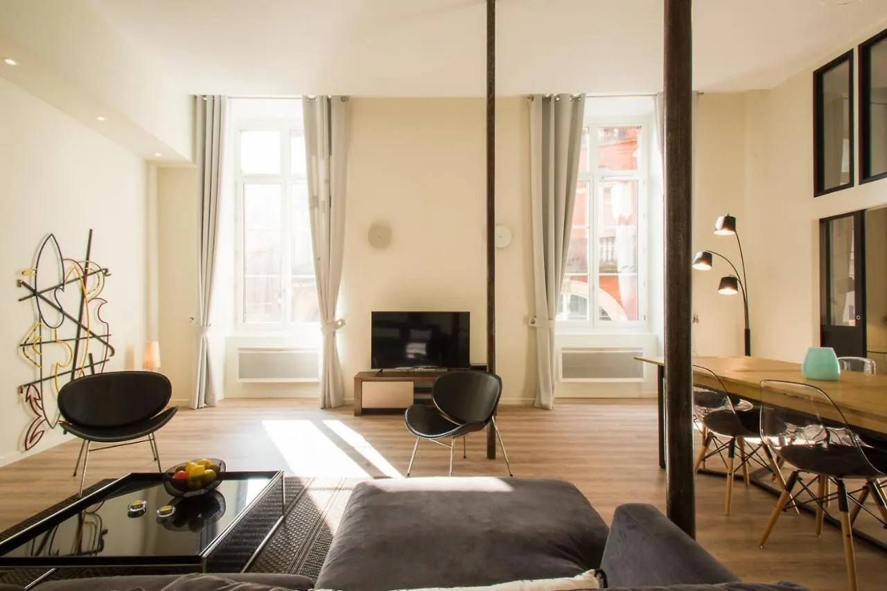 Symphonie By Cocoonr Apartamento Toulouse 0*,